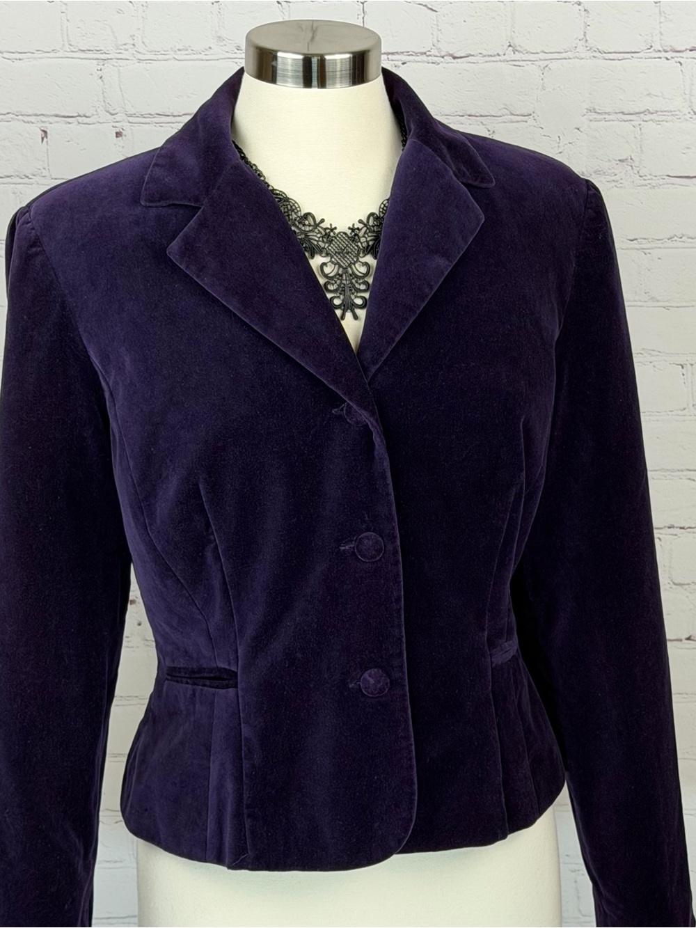 Gabriella Skye Vintage Velvet Blazer in Rich Purple Dark Academia, Whimsigoth